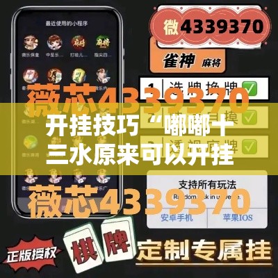 开挂技巧“嘟嘟十三水原来可以开挂”详细开挂安装教程
