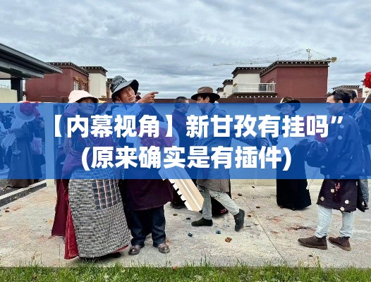 【内幕视角】新甘孜有挂吗”(原来确实是有插件)