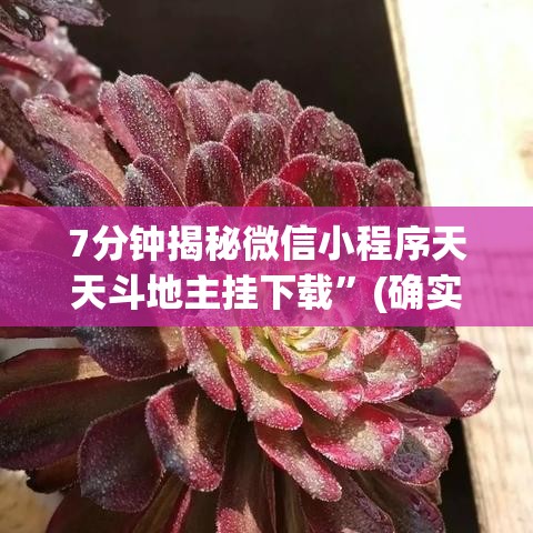 7分钟揭秘微信小程序天天斗地主挂下载”(确实是有挂)知乎