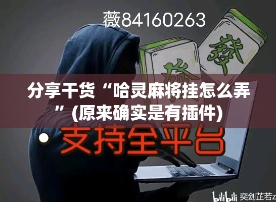 分享干货“哈灵麻将挂怎么弄”(原来确实是有插件)