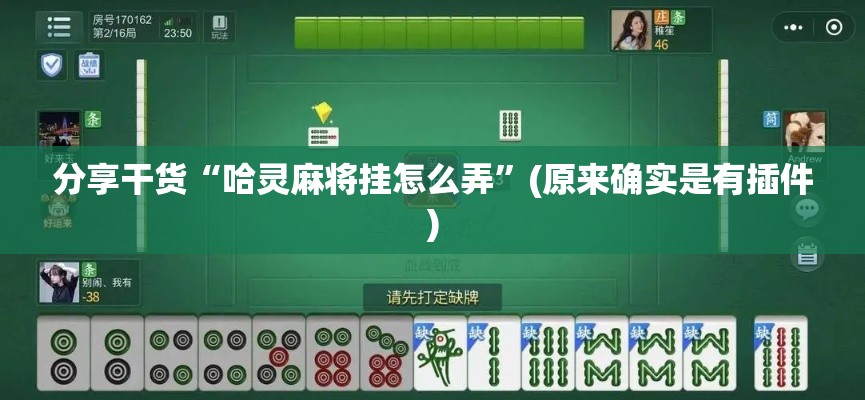 分享干货“哈灵麻将挂怎么弄	”(原来确实是有插件)