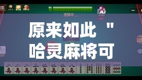 原来如此 ＂哈灵麻将可以开挂吗？	”真的有挂