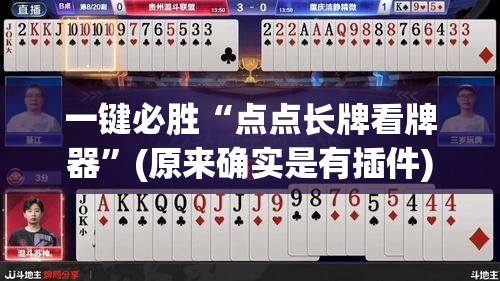 一键必胜“点点长牌看牌器	”(原来确实是有插件)