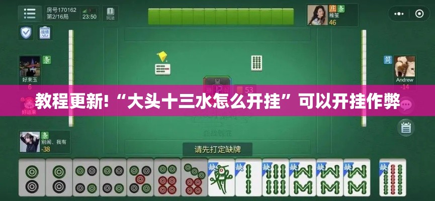 教程更新!“大头十三水怎么开挂”可以开挂作弊