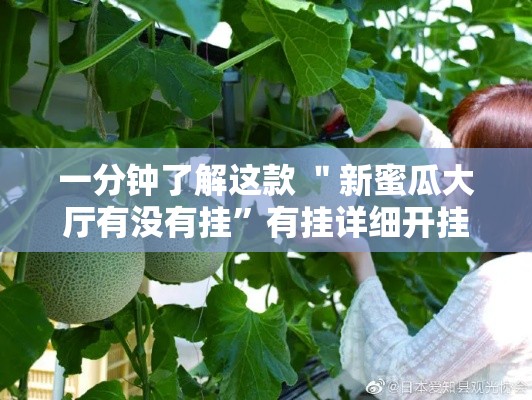 一分钟了解这款 ＂新蜜瓜大厅有没有挂”有挂详细开挂教程