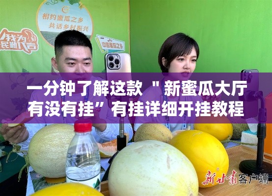 一分钟了解这款 ＂新蜜瓜大厅有没有挂	”有挂详细开挂教程