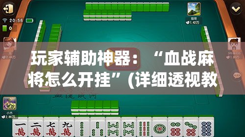 玩家辅助神器：“血战麻将怎么开挂”(详细透视教程)-