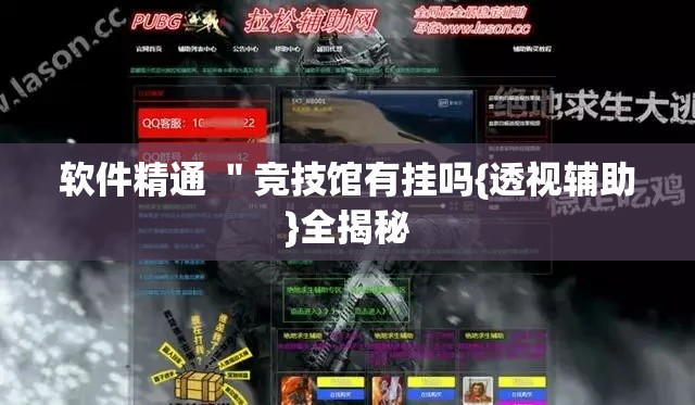 软件精通 ＂竞技馆有挂吗{透视辅助}全揭秘