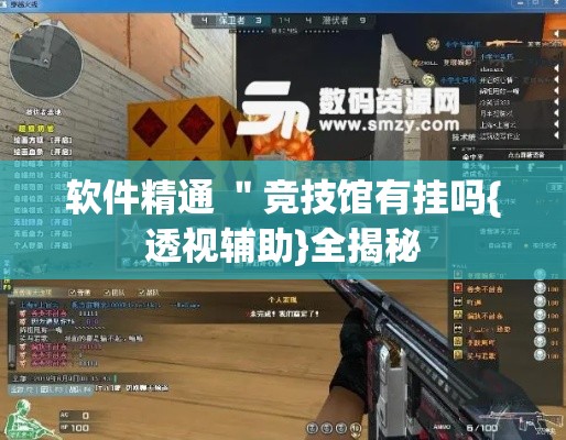 软件精通 ＂竞技馆有挂吗{透视辅助}全揭秘