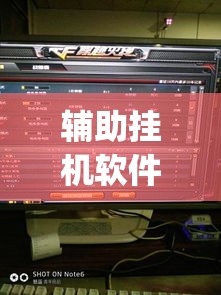 辅助挂机软件“新珊瑚大厅免费透视挂(透视)”详细辅助软件教程