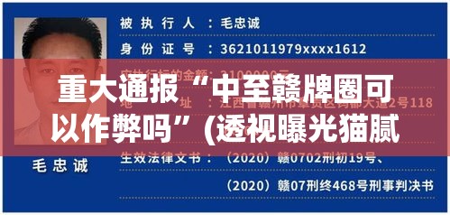 重大通报“中至赣牌圈可以作弊吗”(透视曝光猫腻)