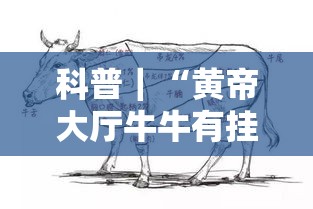 科普｜“黄帝大厅牛牛有挂吗”实测确实有挂