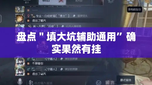 盘点＂填大坑辅助通用	”确实果然有挂