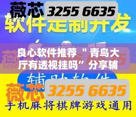 良心软件推荐 ＂青鸟大厅有透视挂吗”分享辅助外挂教程