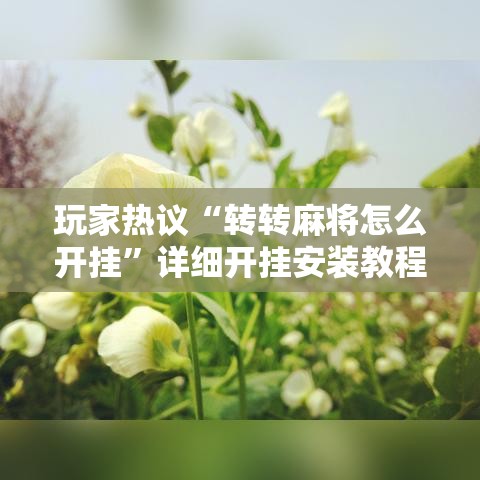 玩家热议“转转麻将怎么开挂”详细开挂安装教程