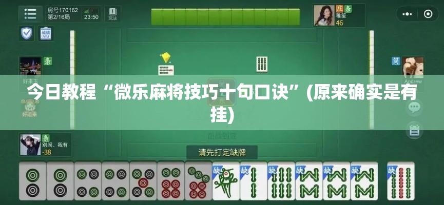 今日教程“微乐麻将技巧十句口诀	”(原来确实是有挂)