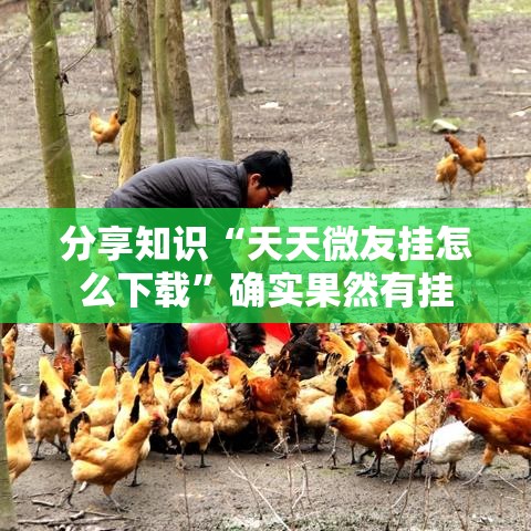 分享知识“天天微友挂怎么下载”确实果然有挂