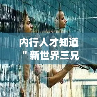 内行人才知道 ＂新世界三兄弟谁赢了	”(果然有透视挂)