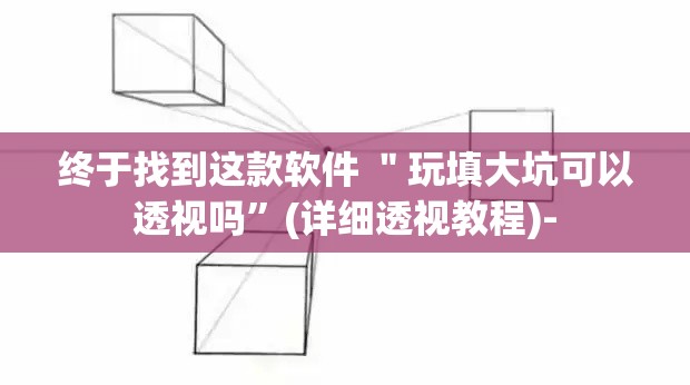 终于找到这款软件 ＂玩填大坑可以透视吗”(详细透视教程)-