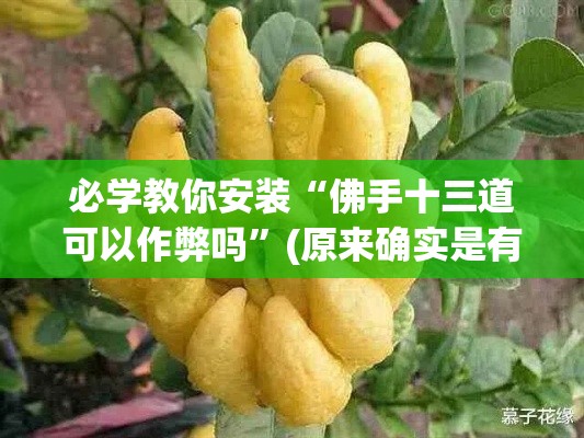 必学教你安装“佛手十三道可以作弊吗”(原来确实是有挂)