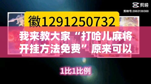 我来教大家“打哈儿麻将开挂方法免费”原来可以开挂