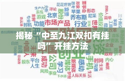 揭秘“中至九江双扣有挂吗”开挂方法