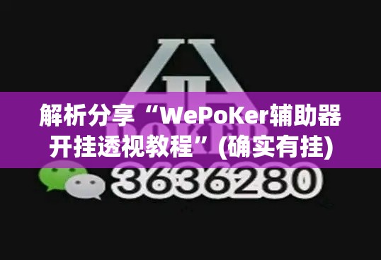 解析分享“WePoKer辅助器开挂透视教程	”(确实有挂)