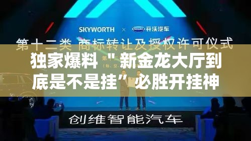 独家爆料 ＂新金龙大厅到底是不是挂”必胜开挂神器
