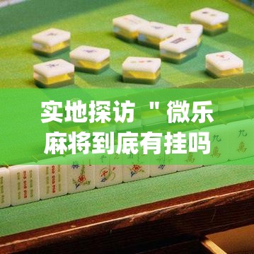 实地探访 ＂微乐麻将到底有挂吗确实有”(透视挂)辅助透视教程