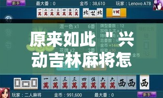原来如此 ＂兴动吉林麻将怎么打才会赢”附开挂脚本详细教程