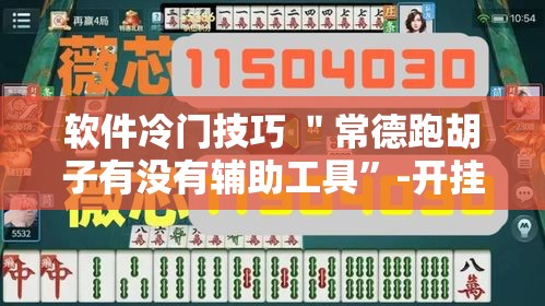软件冷门技巧 ＂常德跑胡子有没有辅助工具	”-开挂神器-包教包会