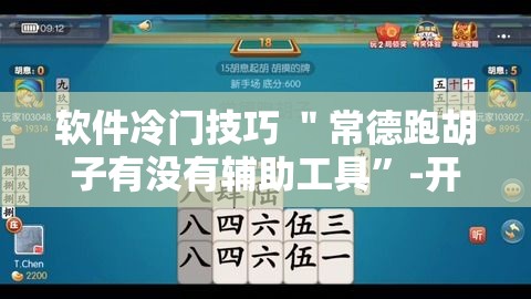 软件冷门技巧 ＂常德跑胡子有没有辅助工具”-开挂神器-包教包会
