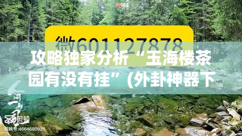 攻略独家分析“玉海楼茶园有没有挂”(外卦神器下载)
