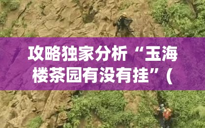 攻略独家分析“玉海楼茶园有没有挂	”(外卦神器下载)