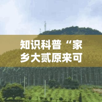 知识科普“家乡大贰原来可以开挂”事实上真的有挂
