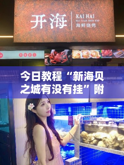 今日教程“新海贝之城有没有挂”附开挂脚本