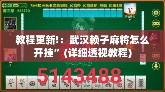 教程更新!：武汉赖子麻将怎么开挂”(详细透视教程)