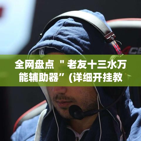 全网盘点 ＂老友十三水万能辅助器”(详细开挂教程)