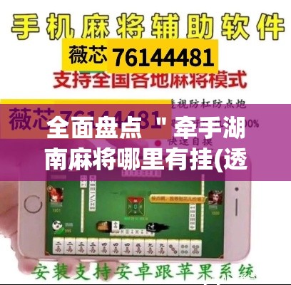 全面盘点 ＂牵手湖南麻将哪里有挂(透视)”开挂(透视)辅助教程