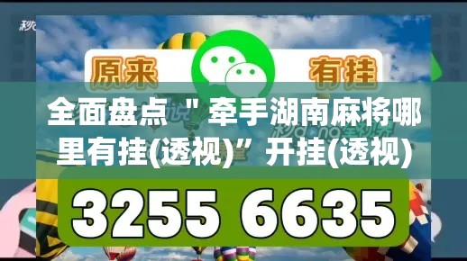 全面盘点 ＂牵手湖南麻将哪里有挂(透视)”开挂(透视)辅助教程