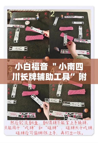 小白福音 ＂小南四川长牌辅助工具	”附开挂脚本详细步骤